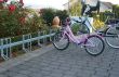stojan na bicykle radov� 1 - pohlad 2 - www.idealmarket.sk